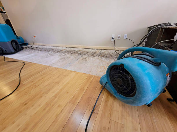 Reliable Basement Flood Cleanup contractor in Burlington, IL by Hirex Water Damage