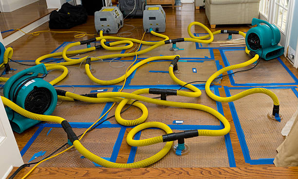 Professional Basement Flood Cleanup technician working in Burlington, IL